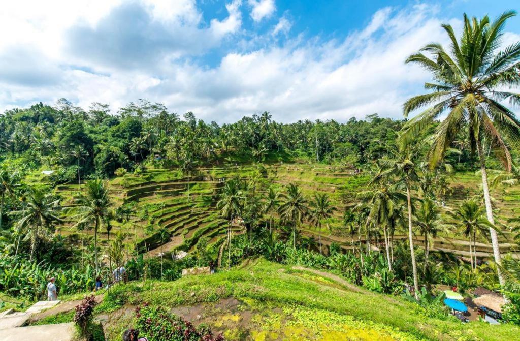 Caldera Hotel & Restaurant BALI Ngoại thất bức ảnh